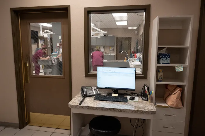 Sun City Animal Hospital 8