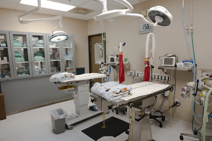 Sun City Animal Hospital 7