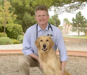 Sun City Animal Hospital 2