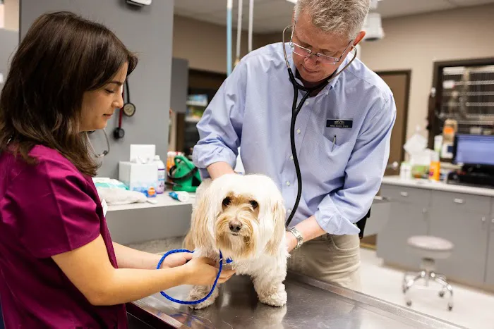 Sun City Animal Hospital 4