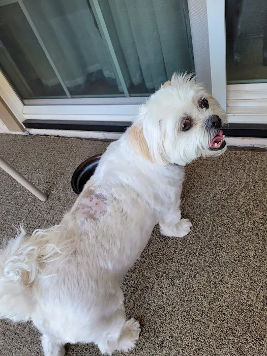 Sun City Animal Hospital 1