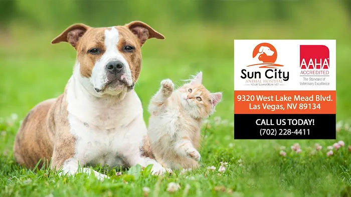 Sun City Animal Hospital 3