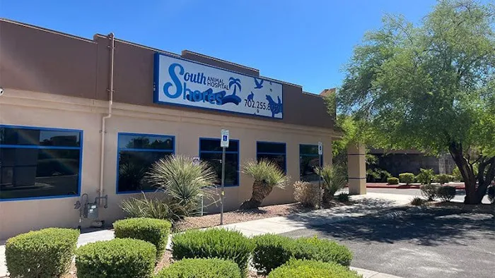 South Shores Animal Hospital 5