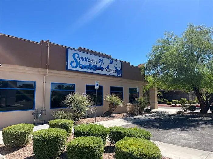 South Shores Animal Hospital 9