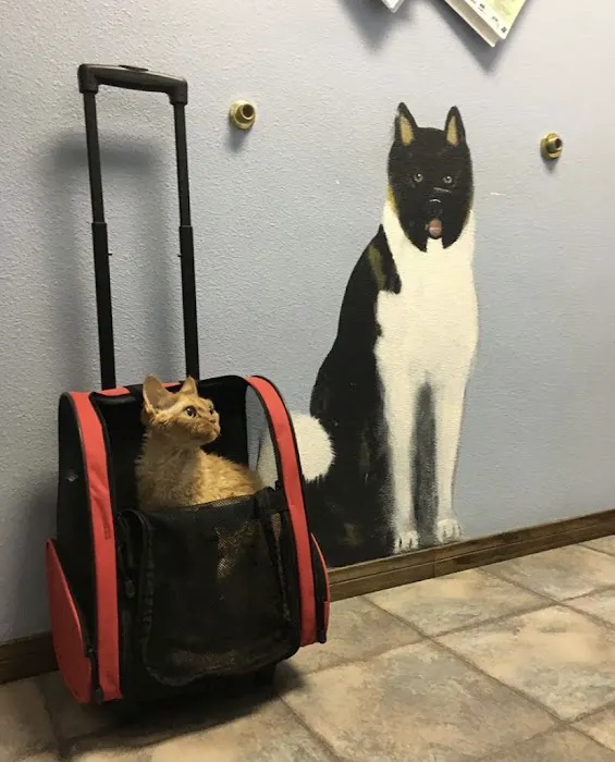 Summerlin Animal Hospital 8