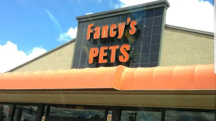 Fancy's Pets 12
