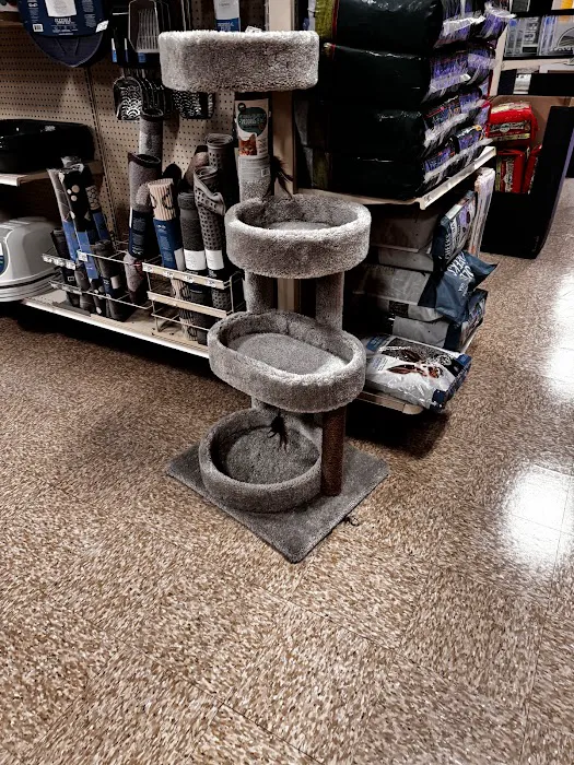 PetSmart Veterinary Services - Las Vegas (McCarran Mkt P) 12