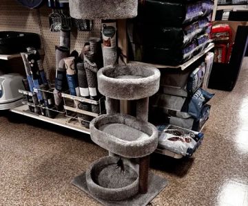 PetSmart Veterinary Services - Las Vegas (McCarran Mkt P)
