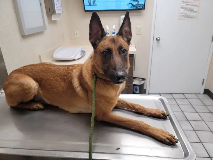 Eastern Veterinary Emergency Hospital 4