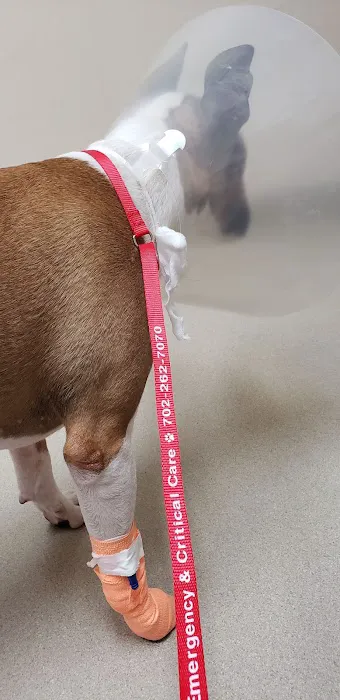 Eastern Veterinary Emergency Hospital 8