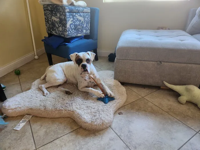 Magnolia Pet Wellness Center 7
