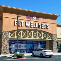 Magnolia Pet Wellness Center ico