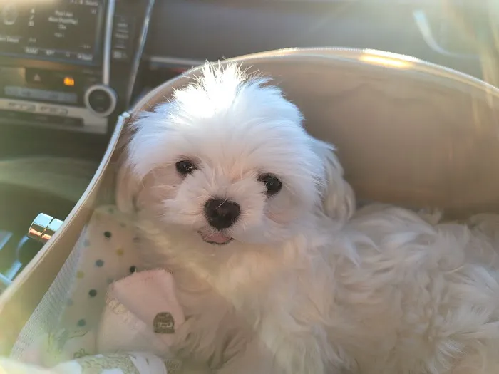 Seven Hills Pet Hospital 5
