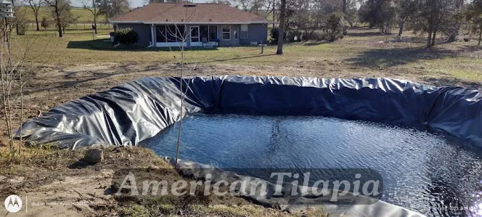 American Tilapia Pond liners & Tarps 12