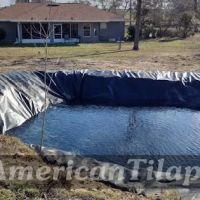 American Tilapia Pond liners & Tarps ico