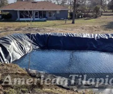 American Tilapia Pond liners & Tarps