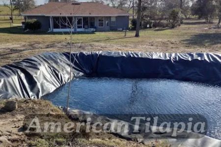 American Tilapia Pond liners & Tarps