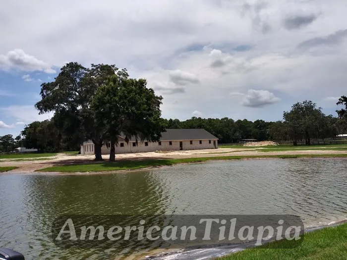 American Tilapia Pond liners & Tarps 12
