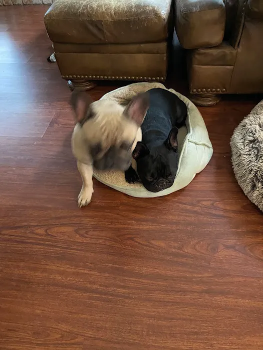 Banfield Pet Hospital 4
