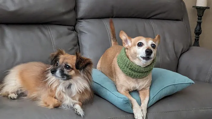 Banfield Pet Hospital 6
