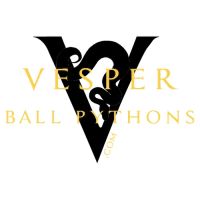 Vesper Ball Pythons ico