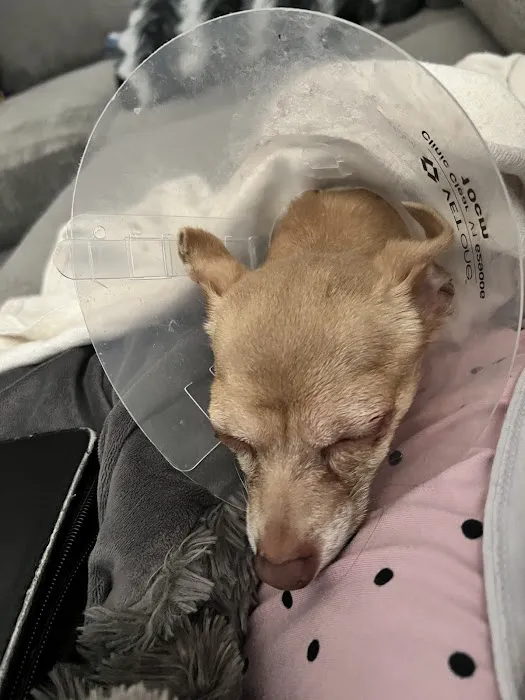 Vetco Total Care Animal Hospital 6