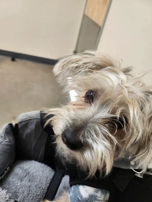 Vetco Total Care Animal Hospital 7