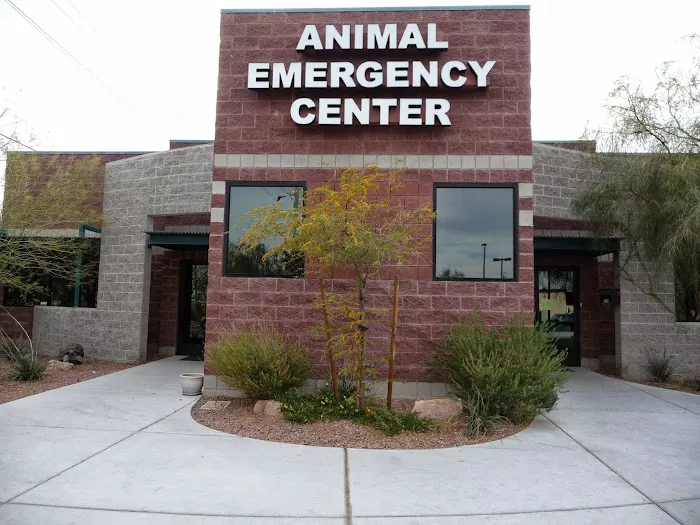 Animal Emergency Center of Las Vegas and Henderson 7