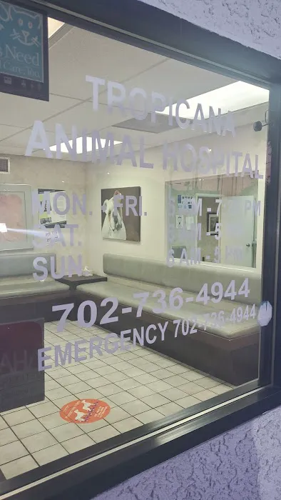 Tropicana Animal Hospital: Lewis Renee DVM 6