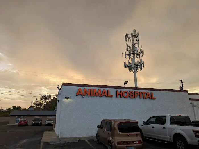 Tropicana Animal Hospital: Tunnard Blake DVM 1