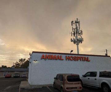 Tropicana Animal Hospital: Tunnard Blake DVM