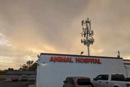 Tropicana Animal Hospital: Tunnard Blake DVM