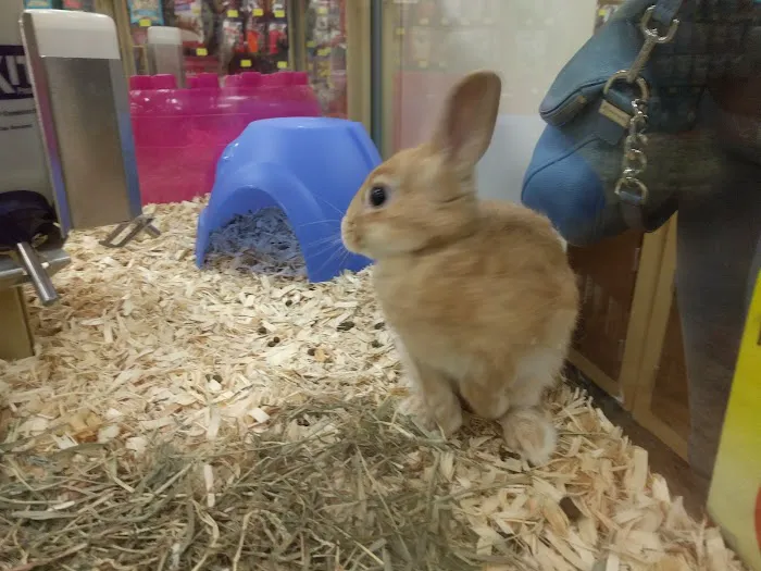 Pet Supermarket 5