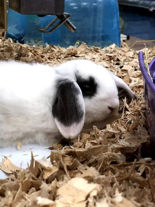 Pet Supermarket 7
