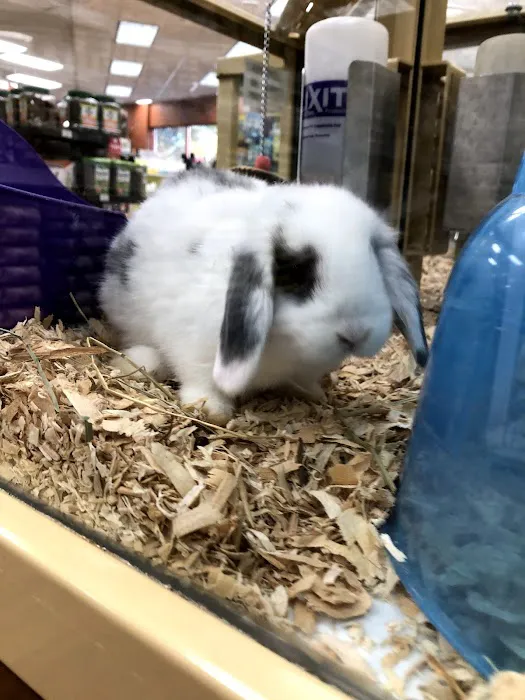 Pet Supermarket 8