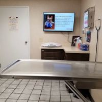Tropicana Animal Hospital ico