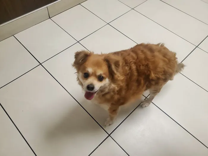 Tropicana Animal Hospital 3