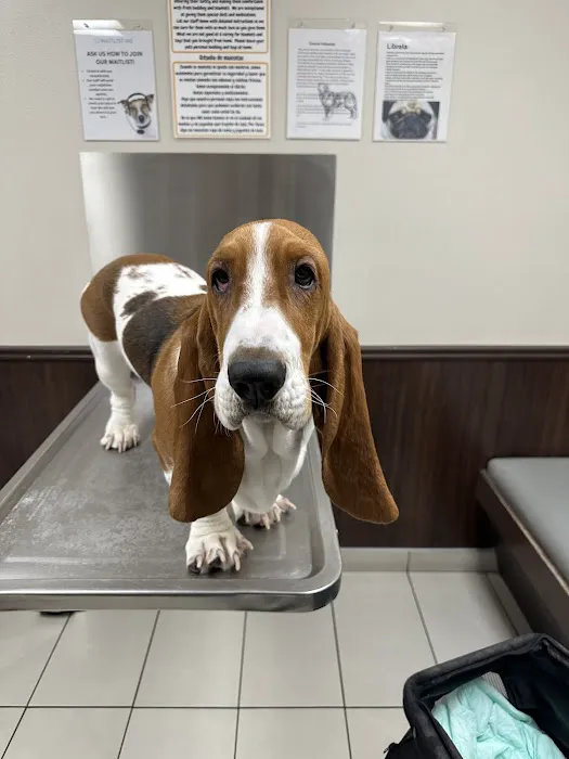 Tropicana Animal Hospital 4