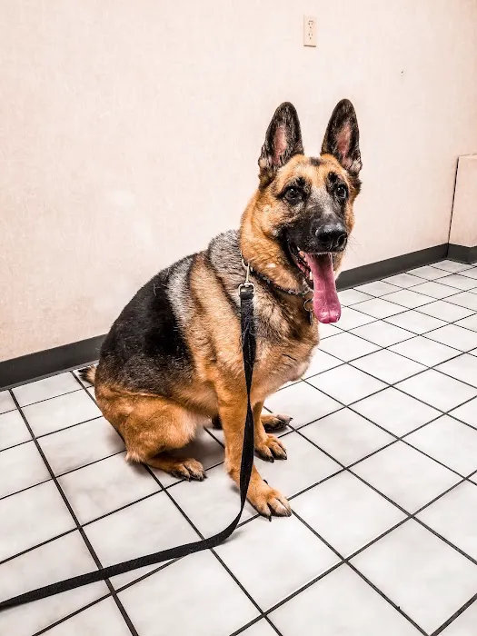 Tropicana Animal Hospital 2