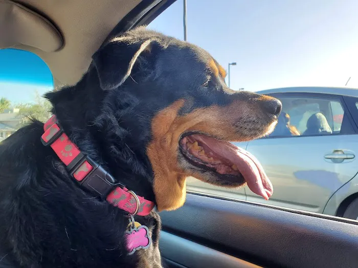 Pecos-Russell Animal Hospital 4