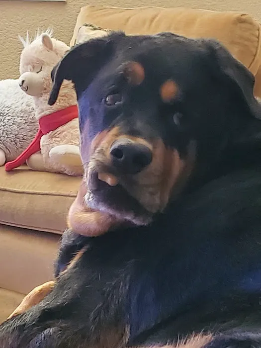 Pecos-Russell Animal Hospital 3