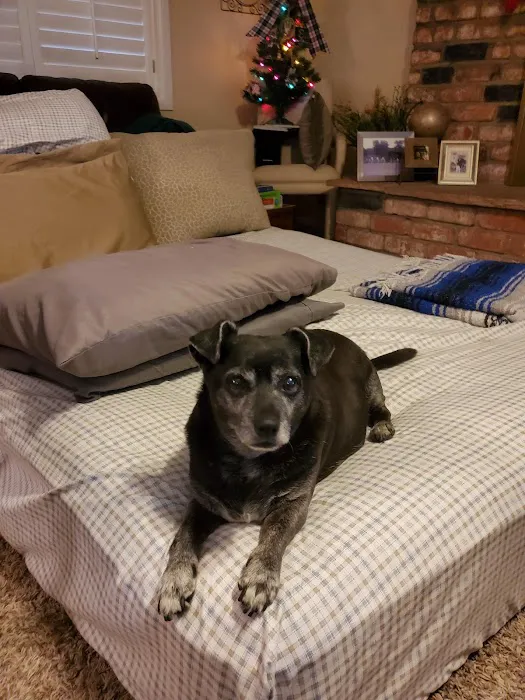 Pecos-Russell Animal Hospital 5