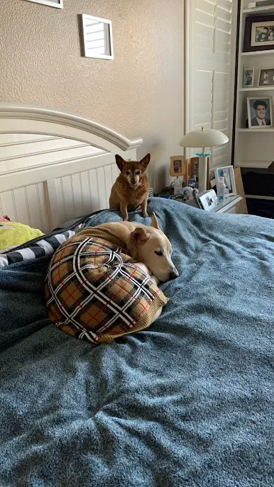 The Edge Pet Hospital 2