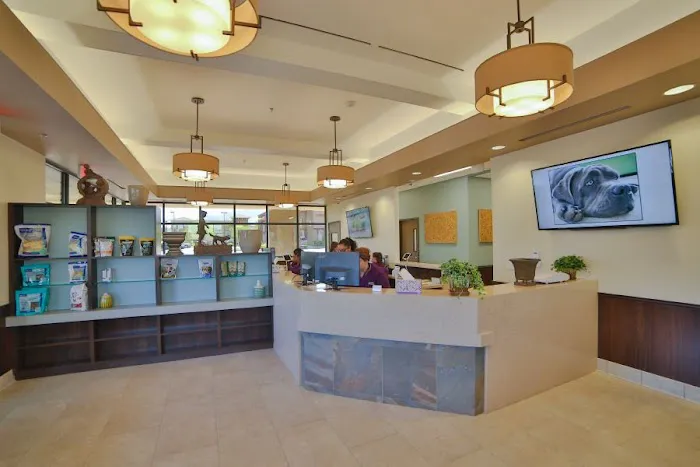 Inspirada Animal Hospital 6
