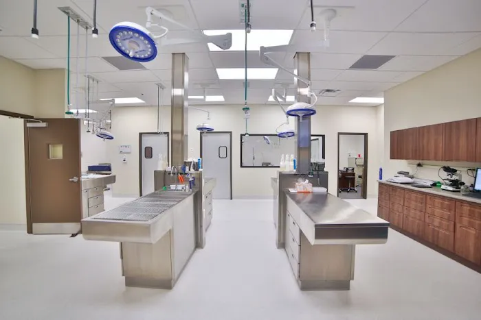 Inspirada Animal Hospital 5