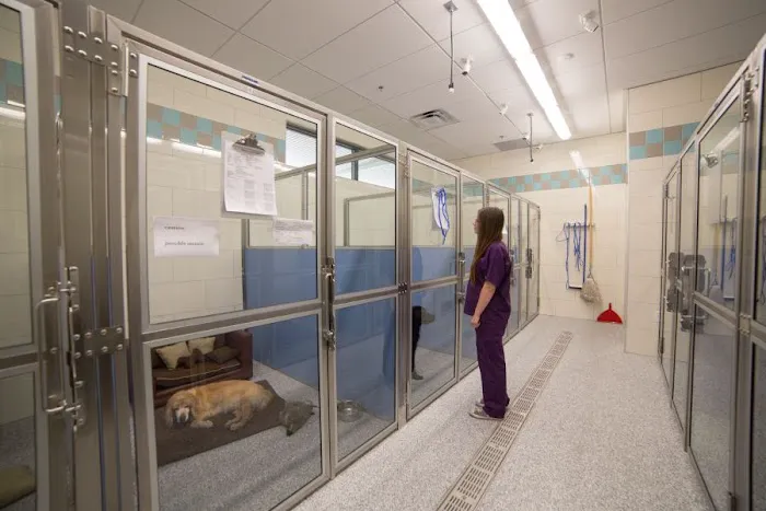 Inspirada Animal Hospital 7