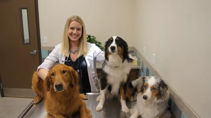 Inspirada Animal Hospital 10