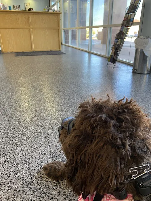 Oasis Animal Hospital 12