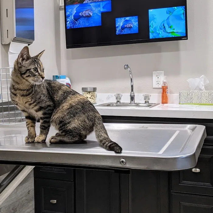 Sunridge Animal Hospital 12