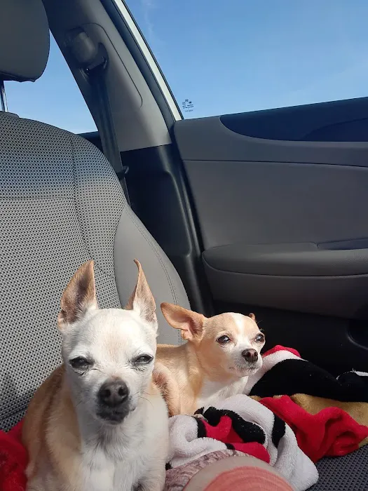 Park Animal Hospital 3